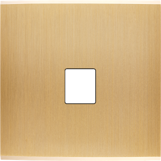 Façade Confidence Laiton Brosse Simple M1