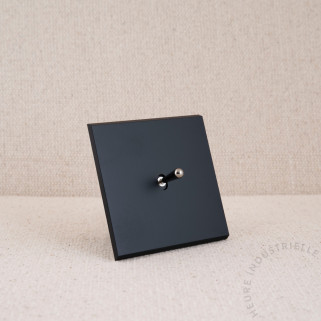 Commande Duo simple Modelec Confidence noir levier noir