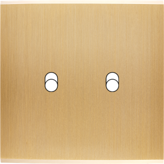 Façade Confidence Laiton Brosse Simple B2