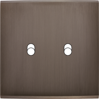 Façade Confidence Laiton Canon De Fusil Simple B2