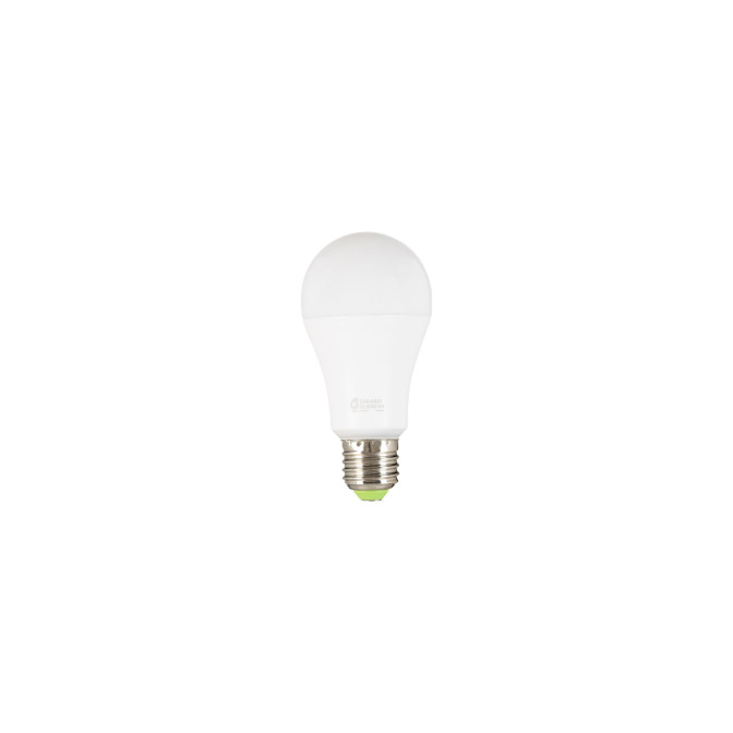 Ampoule LED E27 16W 2700k