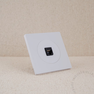 Prise RJ45 DOM et enjoliveur sur plaque simple