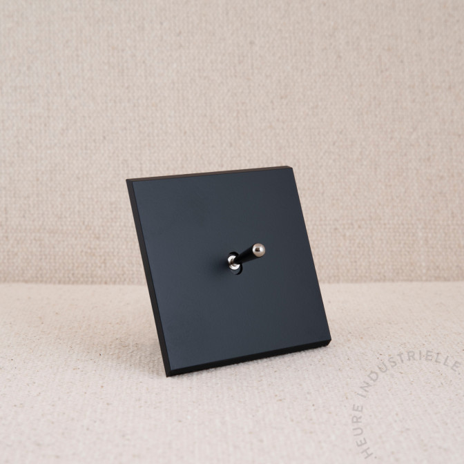 Commande Duo simple Modelec Confidence noir levier acier